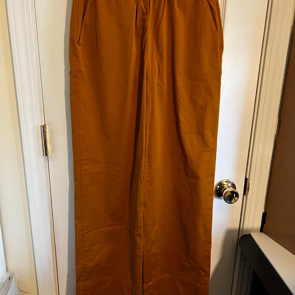 Everlane Wide Leg Pants in Rust Orange